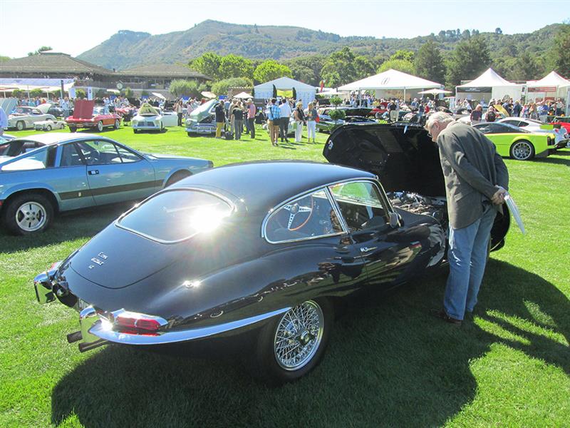Jaguars at Monterey - August 2014