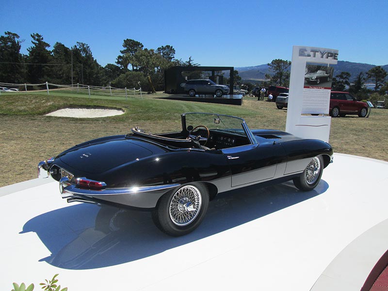8-15-13: Jaguar at Pebble Beach  Monterey, CA